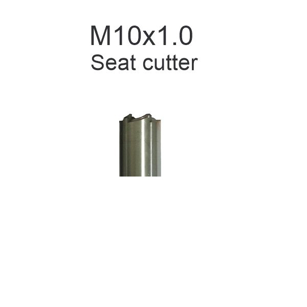 M_10_ x 1.0